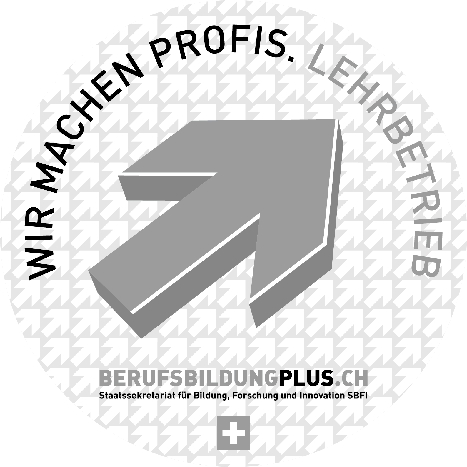 Berufsbildungplus.ch